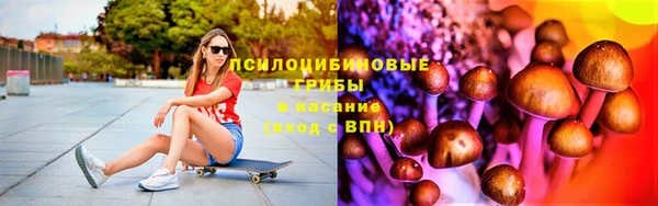 спиды Алзамай