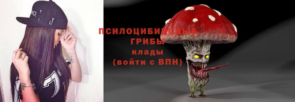 скорость Алексин