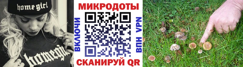 Псилоцибиновые грибы мицелий  купить закладку  Данков 