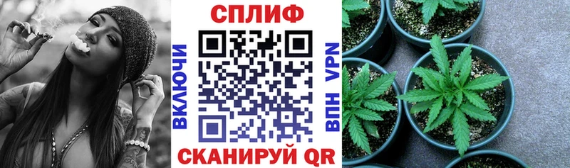 Бошки Шишки AK-47  купить наркотики цена  mega как зайти  Данков 